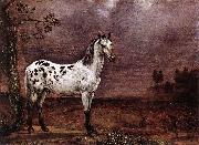 paulus potter The Spotted Horse France oil painting artist